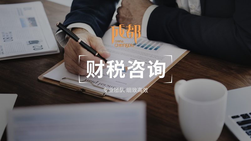 代理记账会计需要做什么账