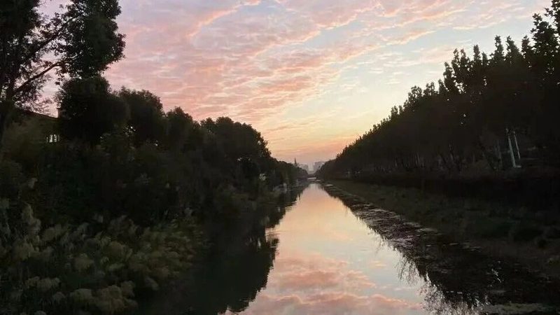 商标转让尽职调查：规避风险，保障权益